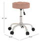 Hillsdale Furniture Nora Metal Adjustable Backless Vanity/Office Stool, Chrome with Chrome with Dusty Pink Velvet