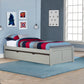 Hillsdale Kids and Teen Pulse Wood Twin Platform Bed with Trundle, Gray