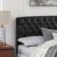 Hillsdale Furniture Hawthorne King/Cal King Upholstered Headboard, Black Faux Leather