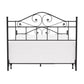 Hillsdale Furniture Harrison Queen Metal Bed, Textured Black